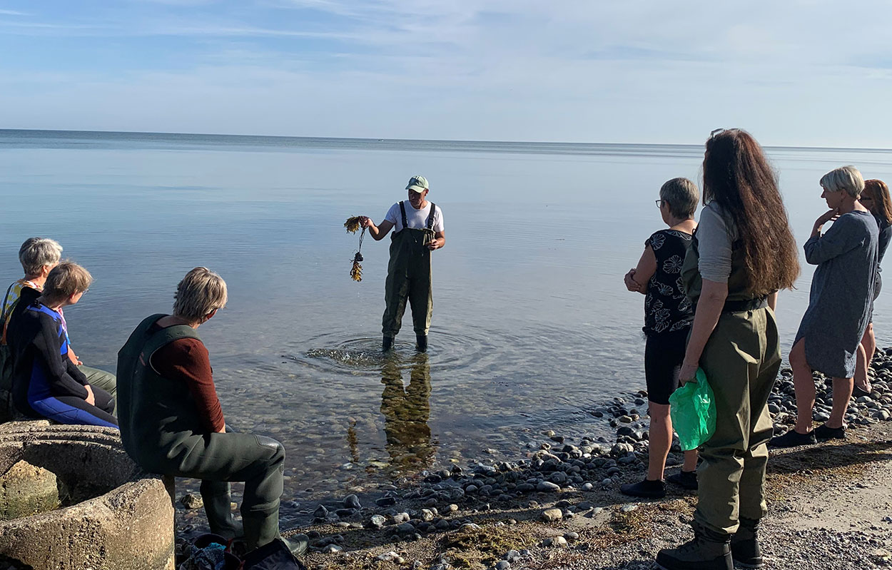 Tangsafari (Foto: Naja Habermann)