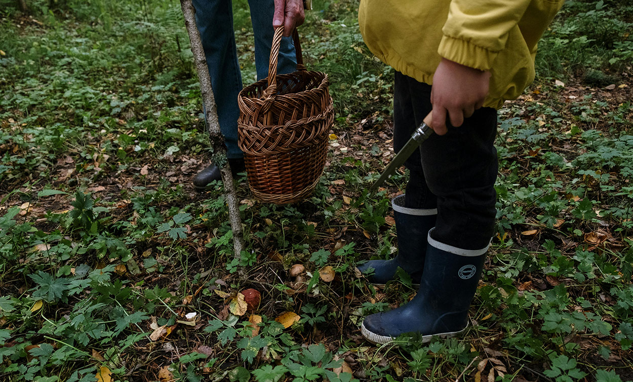”Sanketure i naturen er et godt eksempel på bæredygtige aktiviteter, der breder sig i aftenskolerne.” Foto: Pexels.com